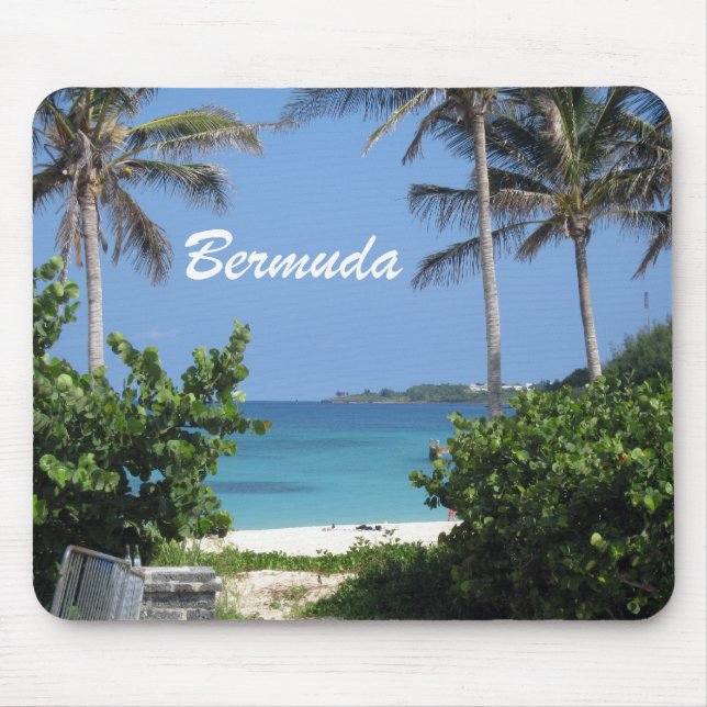 Bermuda Musmatta (Framsidan)