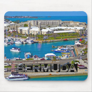 Bermuda Musmatta