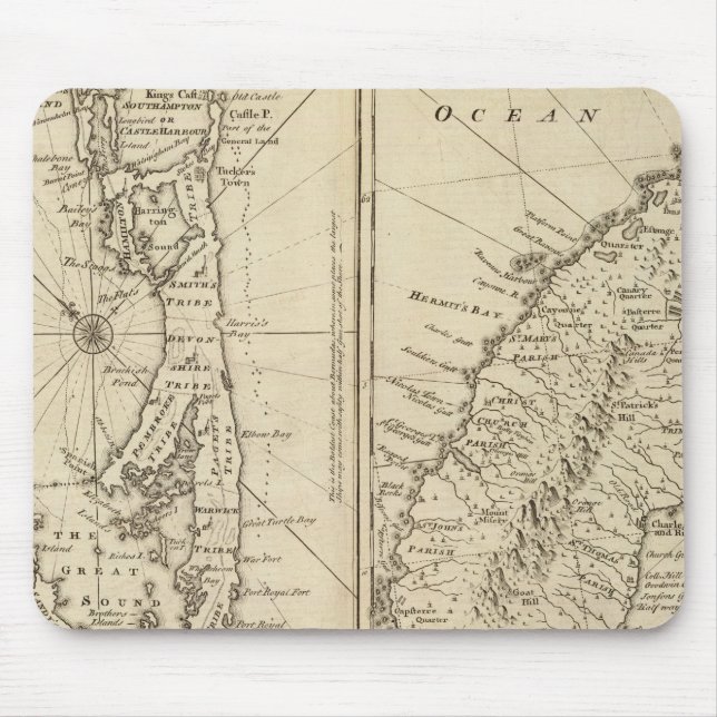 Bermuda Musmatta (Framsidan)