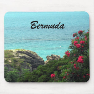 Bermuda Musmatta
