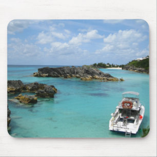Bermuda Musmatta