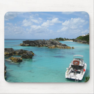 Bermuda Musmatta