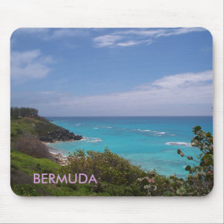 BERMUDA MUSMATTA