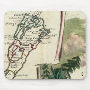 Bermuda Musmatta