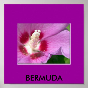 BERMUDA POSTER