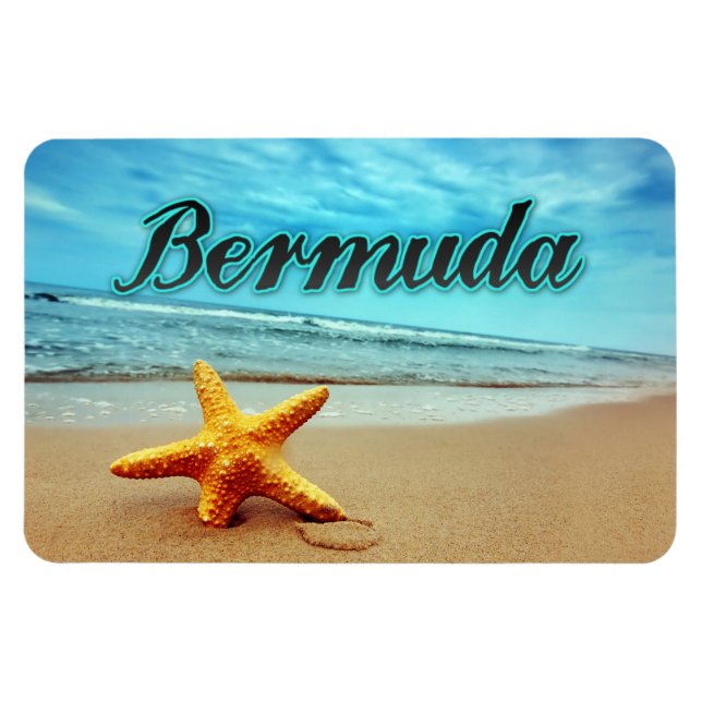 Bermuda stjärnfiskar magnet (Horisontell)