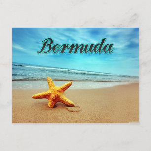 Bermuda stjärnfiskar vykort