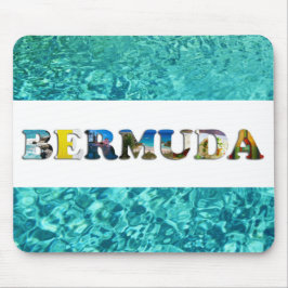 Bermuda Tropical Beach Blue Ocean Travel Foton Musmatta