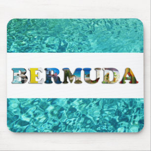 Bermuda Tropical Beach Blue Ocean Travel Foton Musmatta