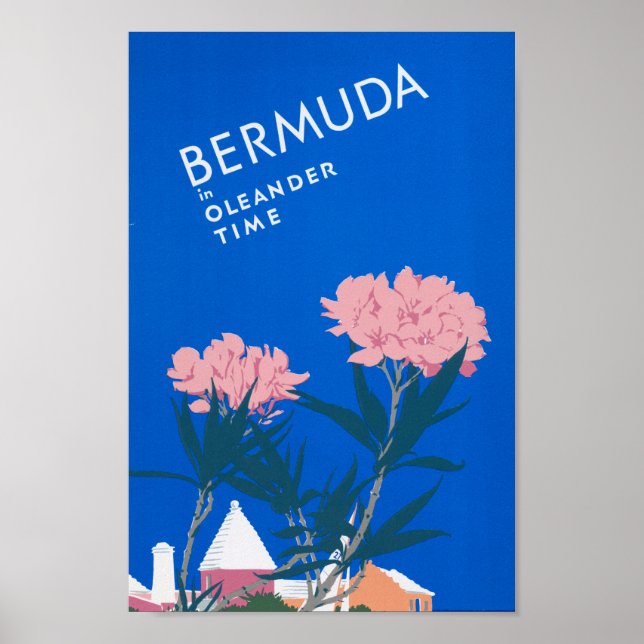 Bermuda Unedated Vintage Photos Old Aesthetic Pict Poster (Framsidan)