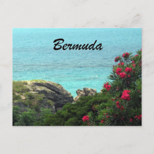 Bermuda Vykort