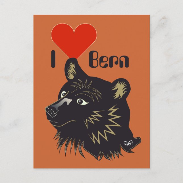 Bern Berne Berna Bärn Schweiz Suisse Postkarte Vykort (Framsida)