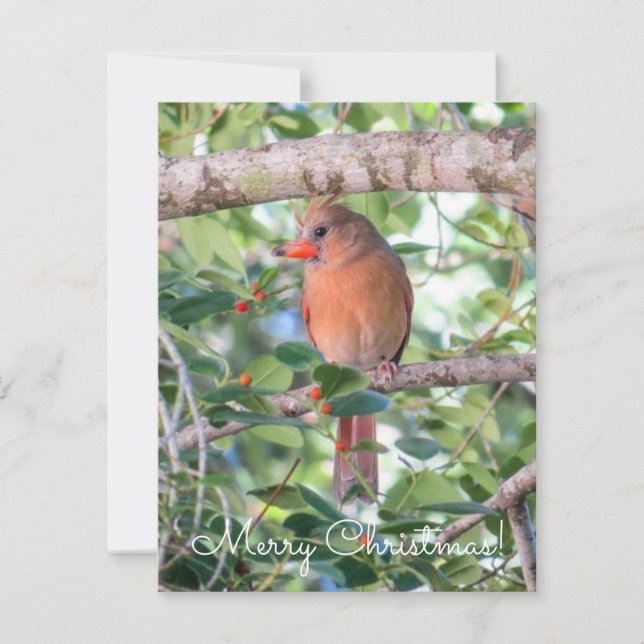 Bernadette Jul Julkort (Framsida)