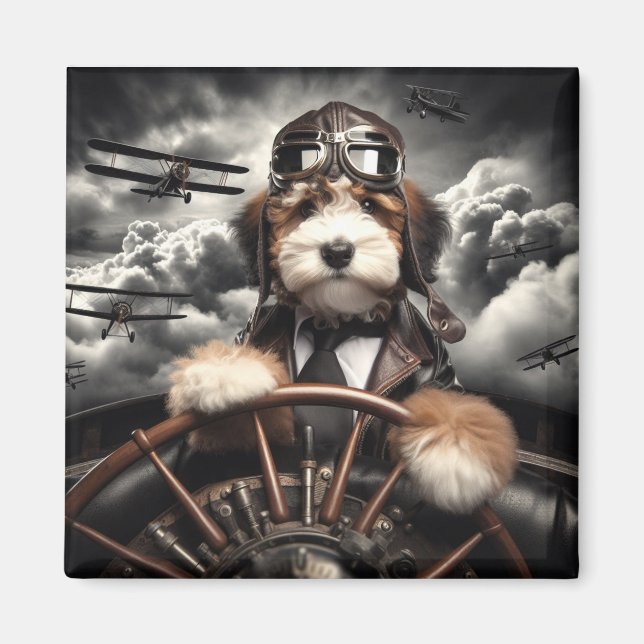 Bernedoodle Aviator Magnet (Framsidan)