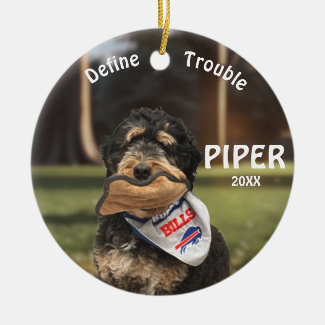 Bernedoodle Football Define Trouble Ornament (Framsidan)