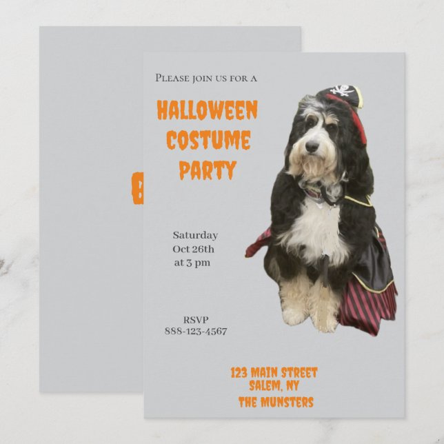 Bernedoodle Hund i Pirat Halloween Costume Party Inbjudningar (Fram/baksida)