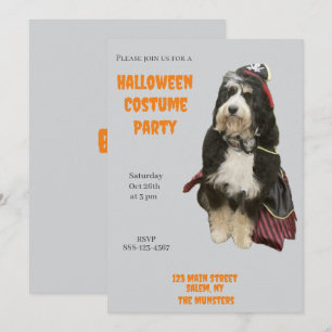 Bernedoodle Hund i Pirat Halloween Costume Party Inbjudningar