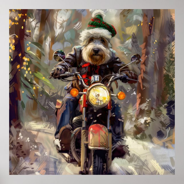 Bernedoodle Hund Kör Motorcykel Jul  Poster (Framsidan)