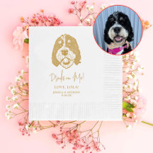 Bernedoodle Hund Personlig Dricker på mig