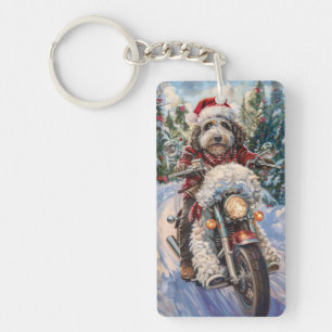 Bernedoodle Hund Ridande Motorcykel Jul