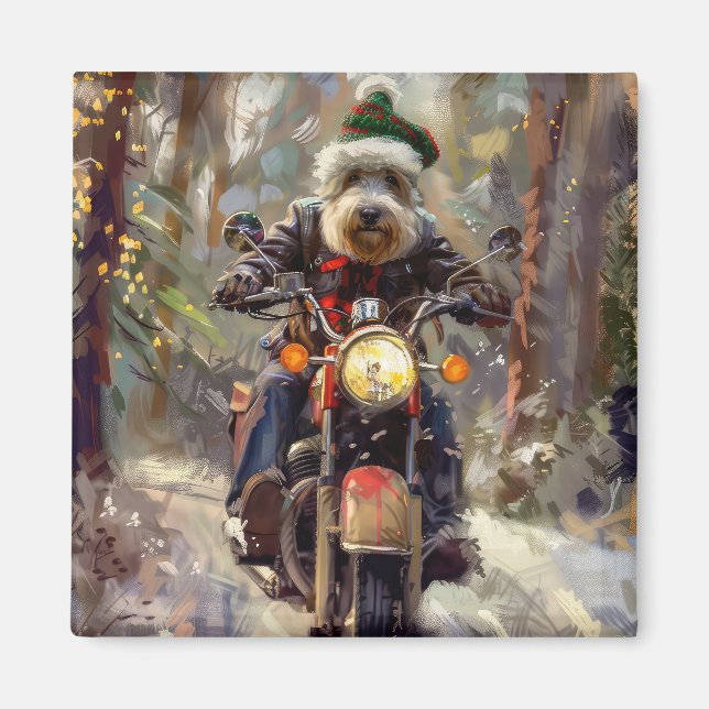 Bernedoodle Hund Ridande Motorcykel Jul Magnet (Framsidan)