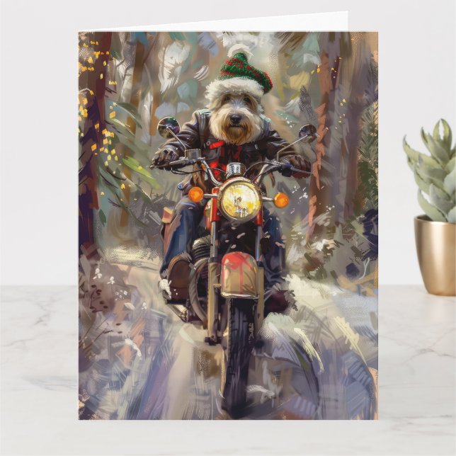 Bernedoodle Hund Riding Motorcykel jul Kort (Liten växt)