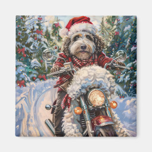 Bernedoodle Hund Riding Motorcykel jul Magnet
