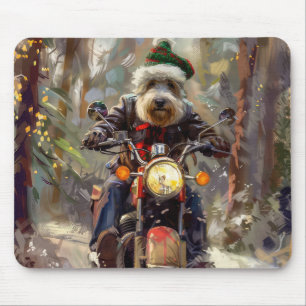 Bernedoodle Hund Ridning Motorcykel Jul Musmatta