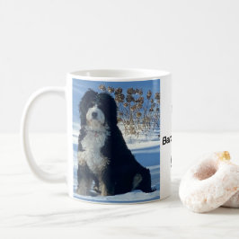 Bernedoodle hund snö mtn blå himmel foto namn Mugg