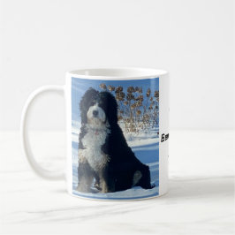 Bernedoodle hund snö mtn blå himmel foto namn Mugg