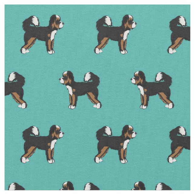 Bernedoodle hund turkos tyg (Närbild)