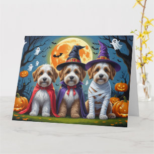 Bernedoodle Hundar Pumpkin Halloween Funny Kort