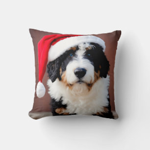 Bernedoodle-jul Kudde