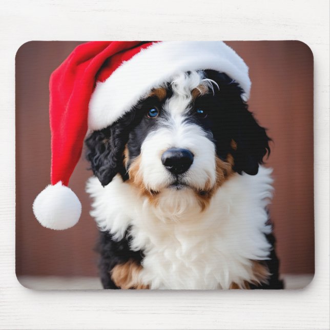 Bernedoodle-jul Musmatta (Framsidan)