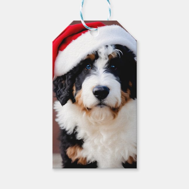 Bernedoodle-jul Presentetikett (Framsidan)