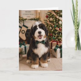 Bernedoodle julkort kort