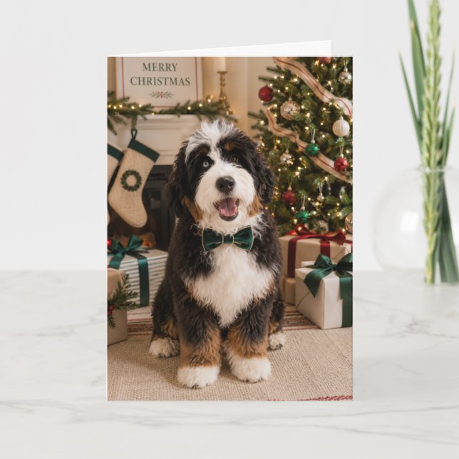 Bernedoodle julkort kort (Framsida)
