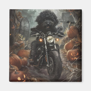 Bernedoodle kör motorcykel Halloween läskig Magnet