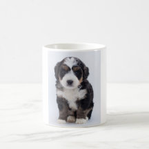 Bernedoodle mugg