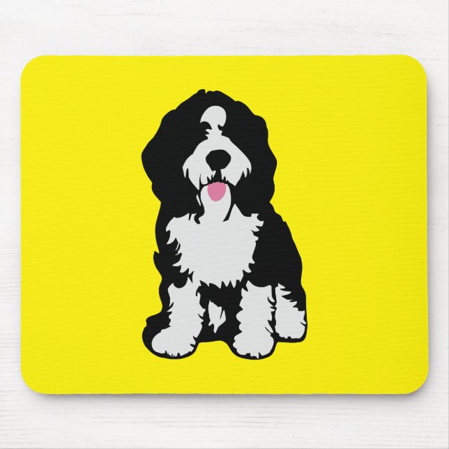 Bernedoodle Musmatta (Framsidan)
