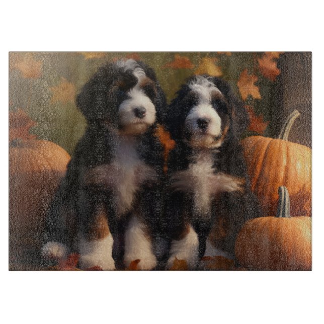 Bernedoodle Puppy Autumn Delight Pumpkin (Framsidan)