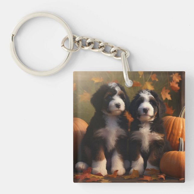 Bernedoodle Puppy Autumn Delight Pumpkin (Framsidan)