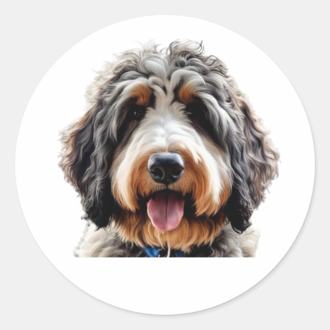 Bernedoodle Sticker Runt Klistermärke (Framsida)