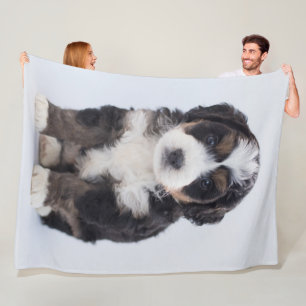 Bernedoodle ullfilt fleecefilt