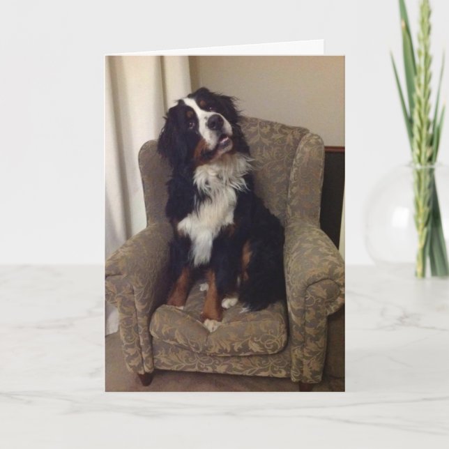 Berner Nation-hälsningskort Helgkort (Framsida)