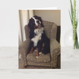 Berner Nation-hälsningskort Helgkort