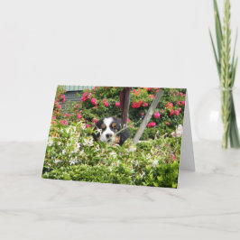 Berner Nation-hälsningskort Helgkort