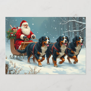 Berner Sennen-julkort Julkort