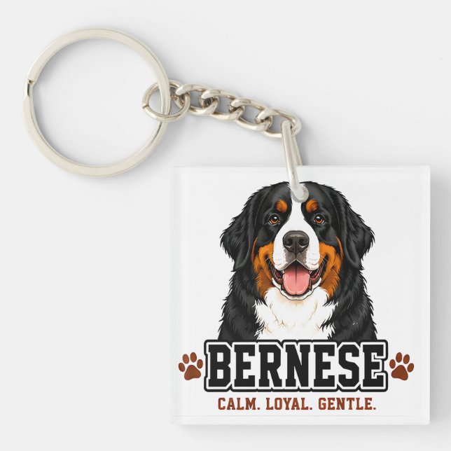 🐾 Berner Sennenhund 🐾 (Framsidan)