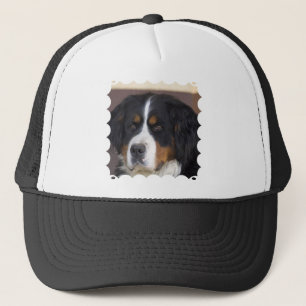 Berner Sennenhund baseballhatt Keps